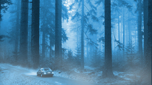 Escape Room Set „Die Waldhütte“ – 21 Rätsel, Requisiten & Elektronik für deinen Raum